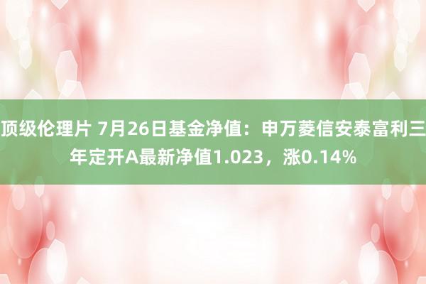 顶级伦理片 7月26日基金净值：申万菱信安泰富利三年定开A最新净值1.023，涨0.14%