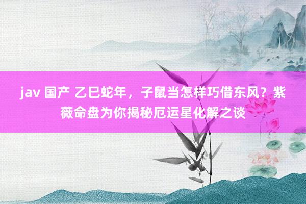 jav 国产 乙巳蛇年，子鼠当怎样巧借东风？紫薇命盘为你揭秘厄运星化解之谈