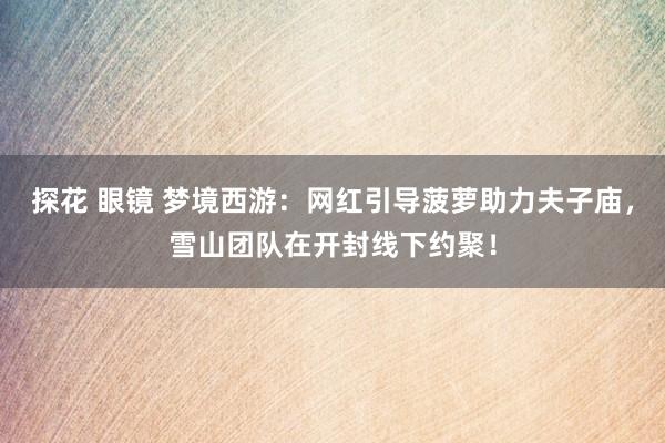 探花 眼镜 梦境西游：网红引导菠萝助力夫子庙，雪山团队在开封线下约聚！