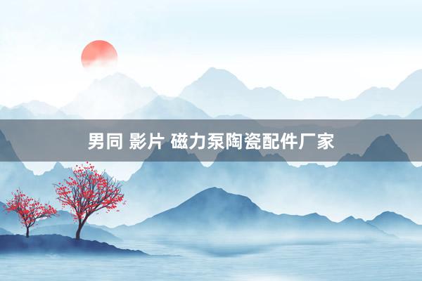 男同 影片 磁力泵陶瓷配件厂家